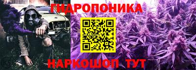 каннабис Кингисепп