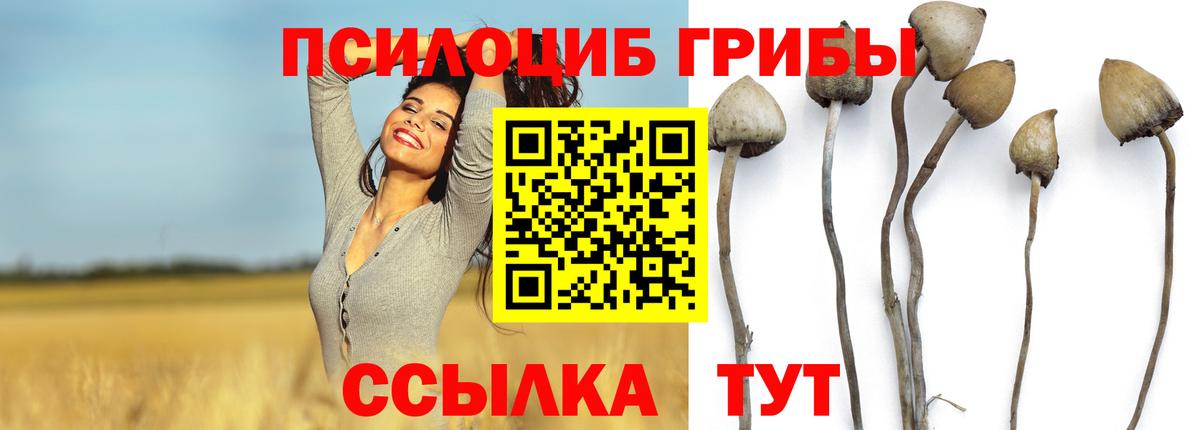 Галлюциногенные грибы Psilocybine cubensis  Псилоцибиновые грибы Psilocybe  Королёв  Вход с VPN 